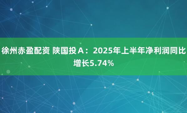徐州赤盈配资 陕国投Ａ：2025年上半年净利润同比增长5.74%