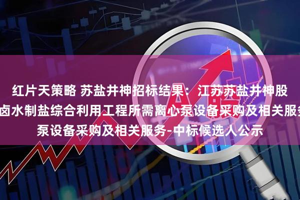 红片天策略 苏盐井神招标结果：江苏苏盐井神股份有限公司储气库卤水制盐综合利用工程所需离心泵设备采购及相关服务-中标候选人公示
