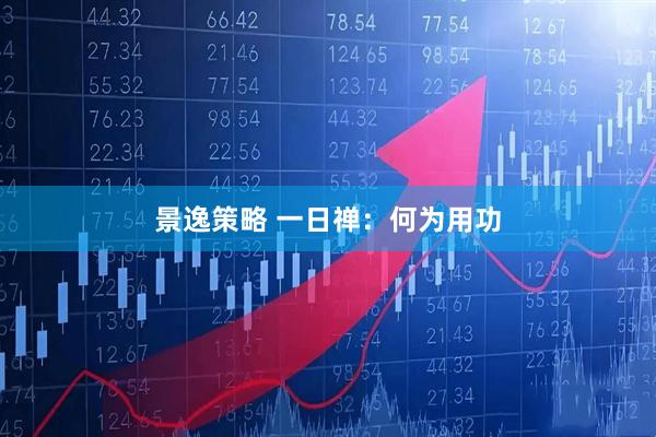 景逸策略 一日禅：何为用功